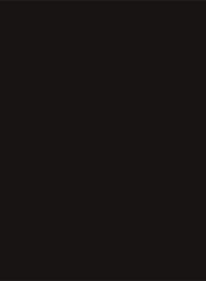 Sanderson Active Emulsion - 2,5l - Burn Black Lt. 166-SAE.166.M Sanderson Active Emulsion - 2,5l - Burn Black Lt. 166-SAE.166.M