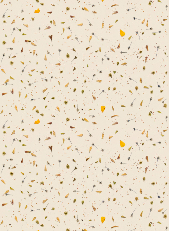 studio ditte Papier peint Floral Confetti/ Bloemen Confetti-16610