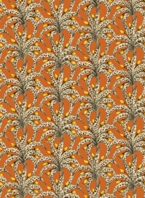 Cole & Son Carta da parati Afrika Damask-16632 Cole & Son Carta da parati Afrika Damask-16632