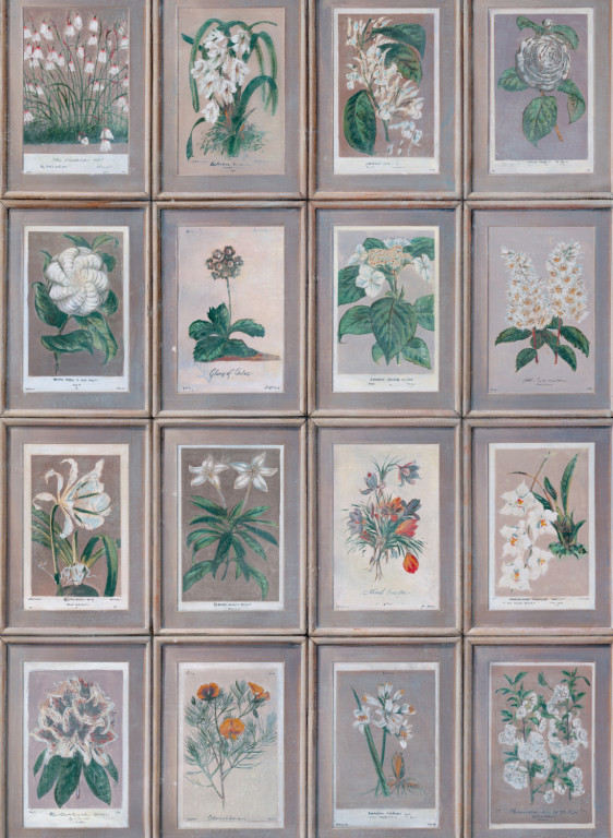 Andrew Martin Tapete Floral-16686