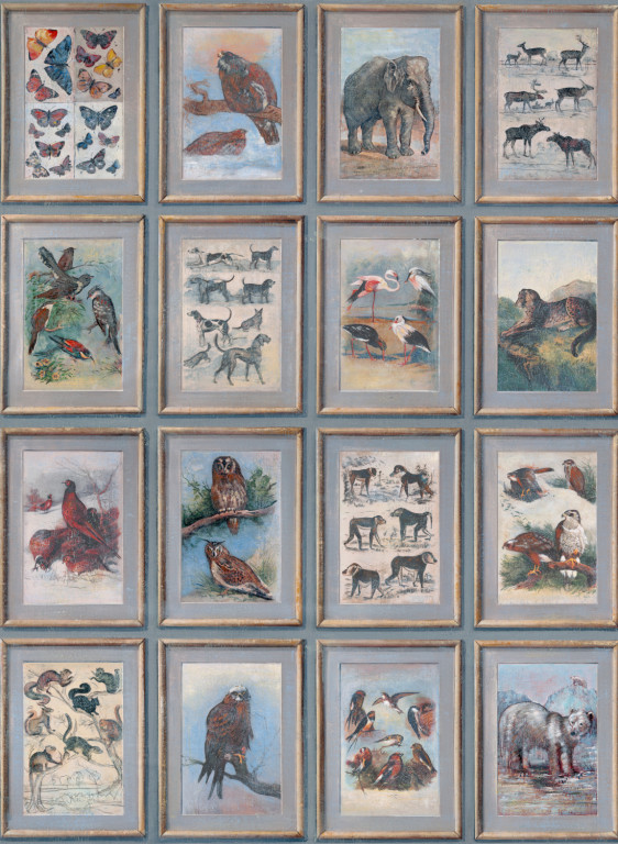 Andrew Martin Tapete Zoology-16691