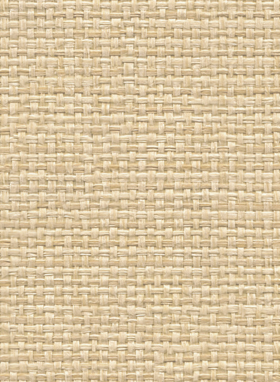 Coordonne Papier peint Raffias+8-17007 Coordonne Papier peint Raffias+8-17007