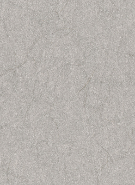 Omexco Wallpaper SOP310 Shades of Pale-17134
