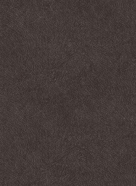 Coordonne Papier peint Cuero-17537 Coordonne Papier peint Cuero-17537