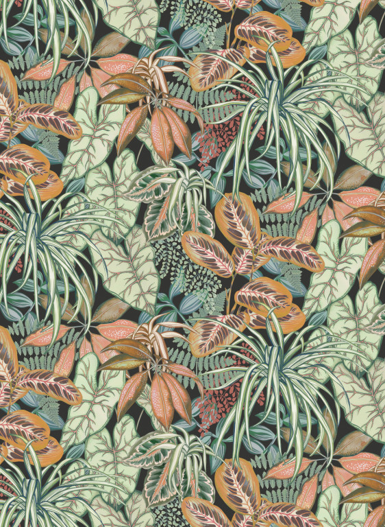 Osborne & Little Wallpaper Hothouse-17553 Osborne & Little Wallpaper Hothouse-17553