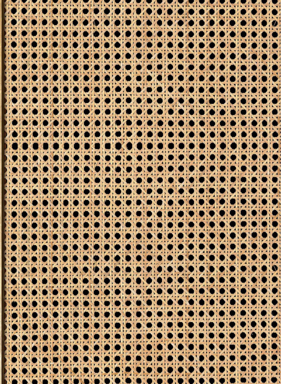 NLXL Papier peint Natural Webbing-17689 NLXL Papier peint Natural Webbing-17689