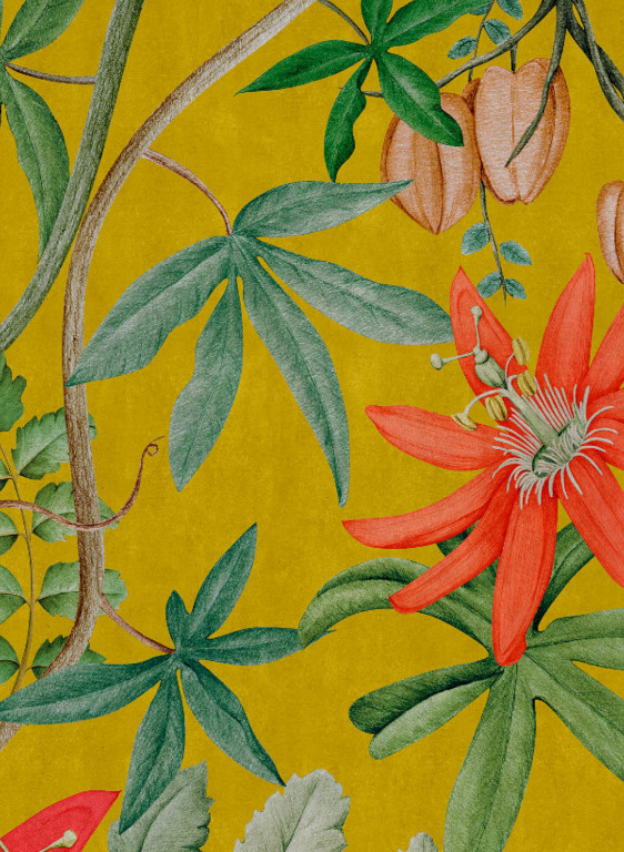NLXL Wallpaper Passiflora-17705 NLXL Wallpaper Passiflora-17705