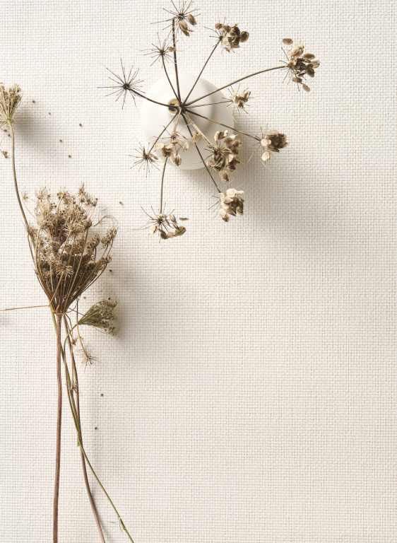 Omexco Wallpaper Purity-17758 Omexco Wallpaper Purity-17758
