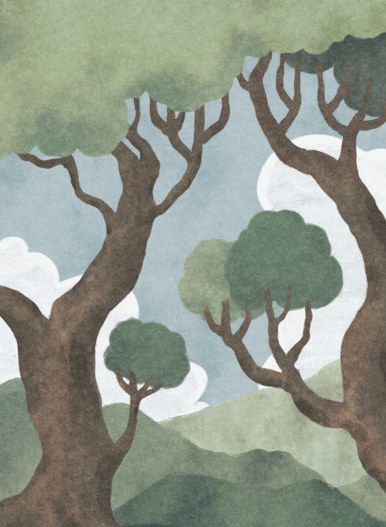 Boråstapeter Studio Mural In the Forest-17885