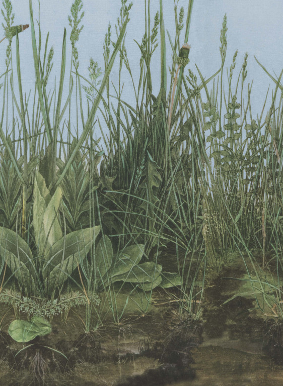 Boråstapeter Studio Mural Morning Mist-17910