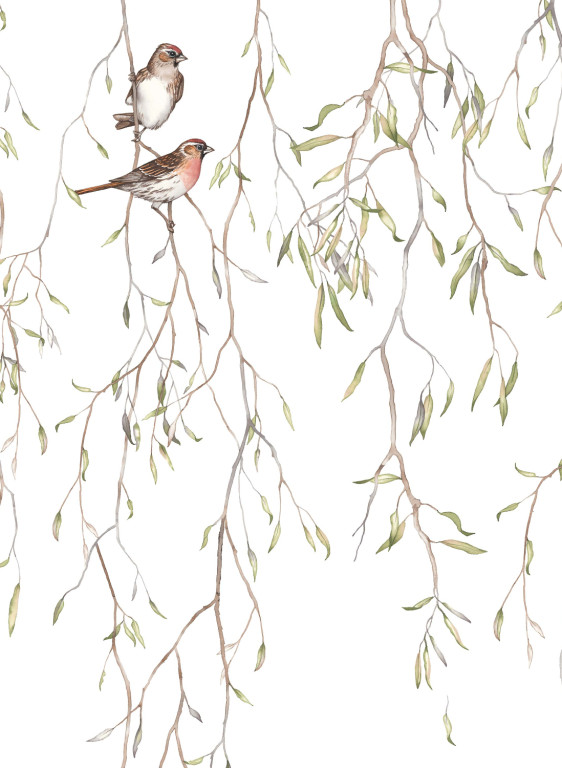Boråstapeter Studio Mural Spring Birds-17941