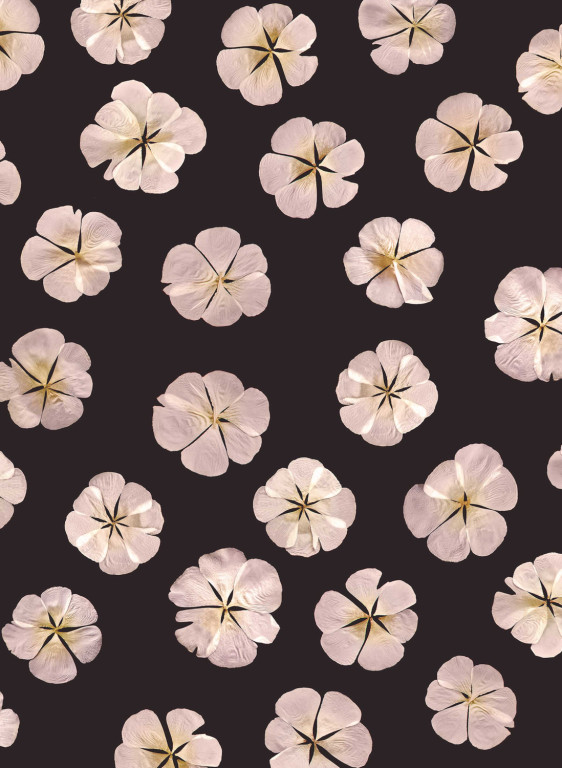 Boråstapeter Studio Mural Sweet White-17946