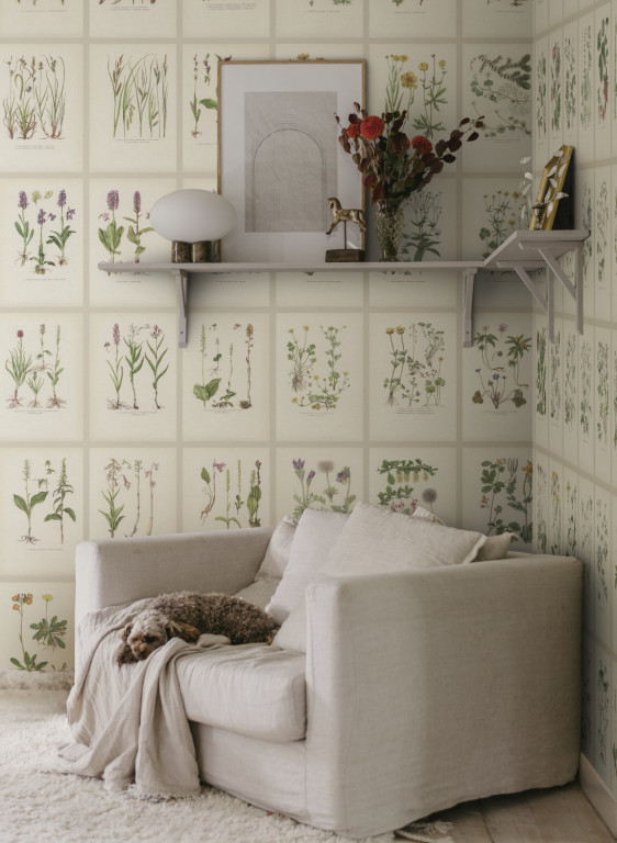 Sandberg Wandbild Botanica-18001 Sandberg Wandbild Botanica-18001