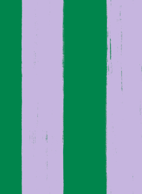 Coordonné Tapete Toldo - Hummingbird-18108.3N