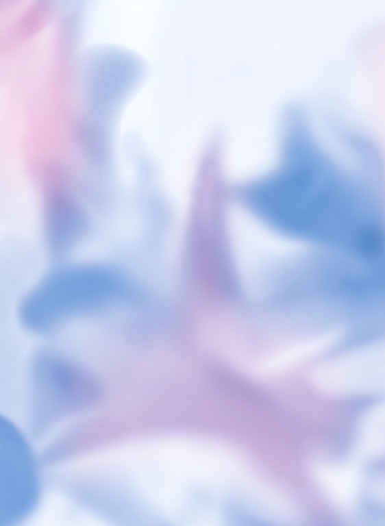 Coordonné Mural Maravillas-18111 Coordonné Mural Maravillas-18111