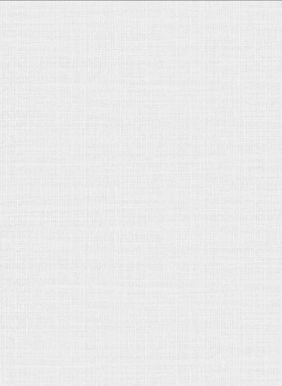 Omexco Tapete HPE2 Netting-18149