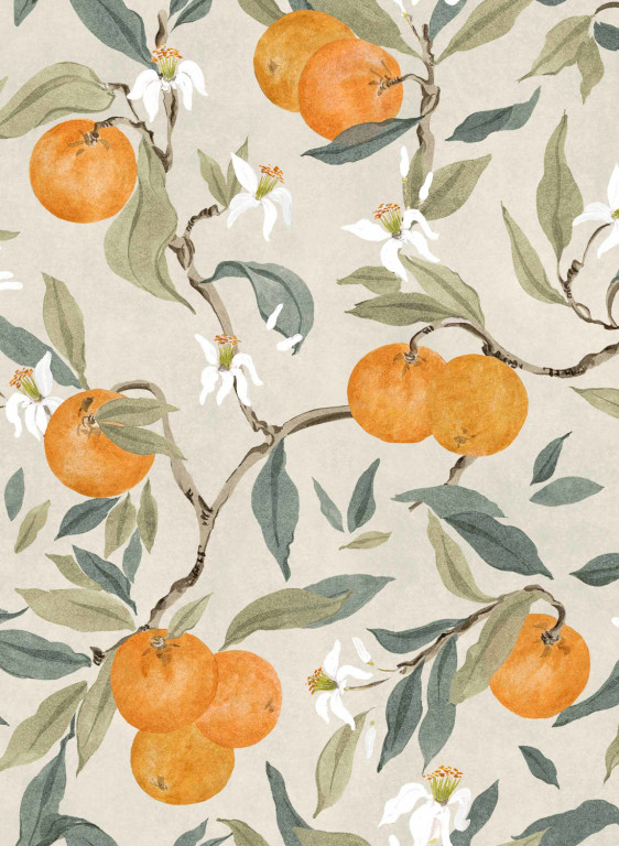 Coordonné Tapete Naranjos-18219
