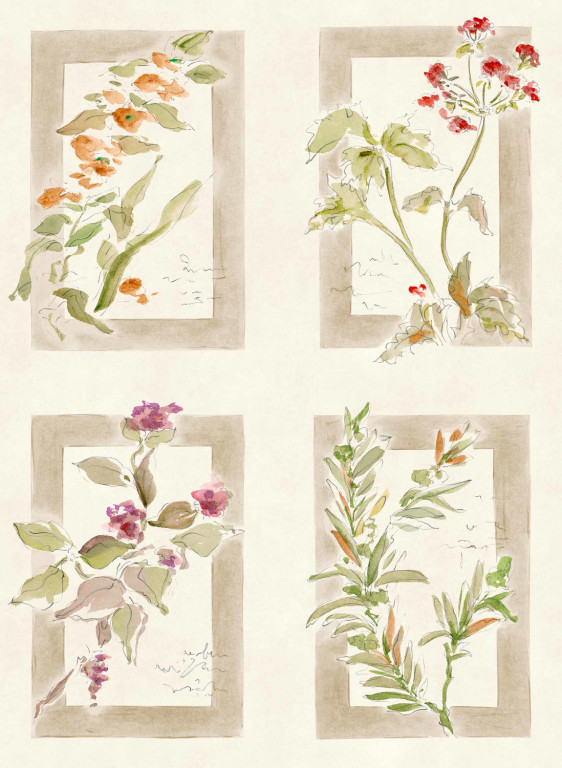 Coordonné Tapete Sta Cruz-18223