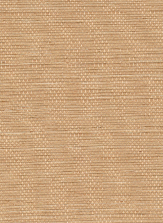 Élitis Wallpaper Sisal - RM 1069 52-18502.7