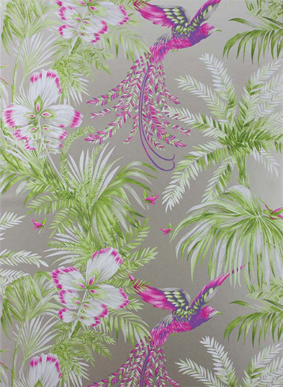 Matthew Williamson Wallpaper Bird of Paradise-1854 Matthew Williamson Wallpaper Bird of Paradise-1854