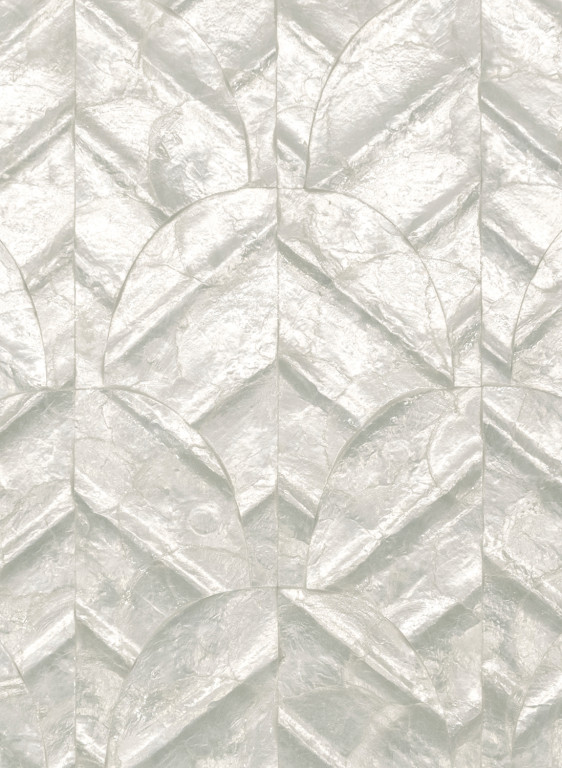 Arte Wallpaper Abalone-18589 Arte Wallpaper Abalone-18589