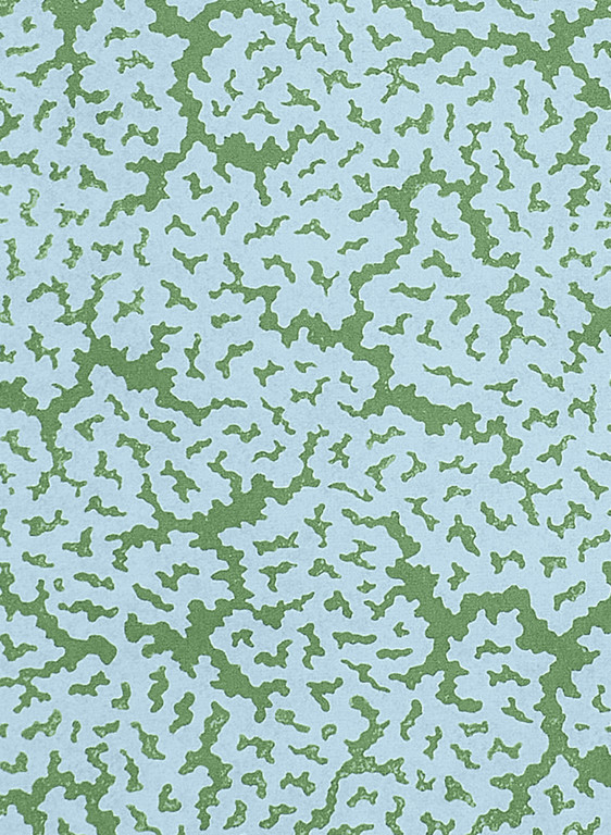 Thibaut Tapete Maldives-18723