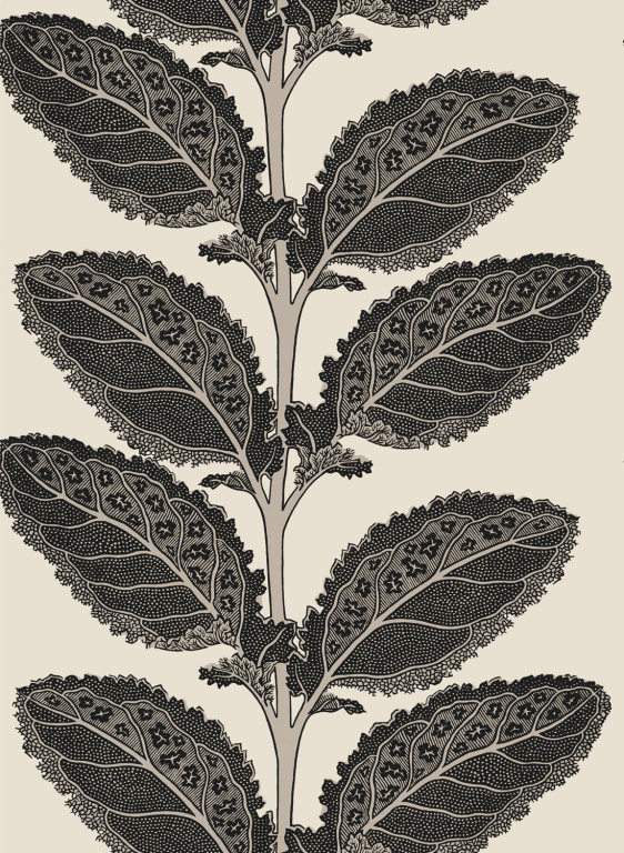 Thibaut Carta da parati Lacinato-18734