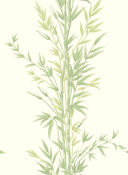 Tapete Bamboo von Cole & Son - Green-1879.2 Tapete Bamboo von Cole & Son - Green-1879.2