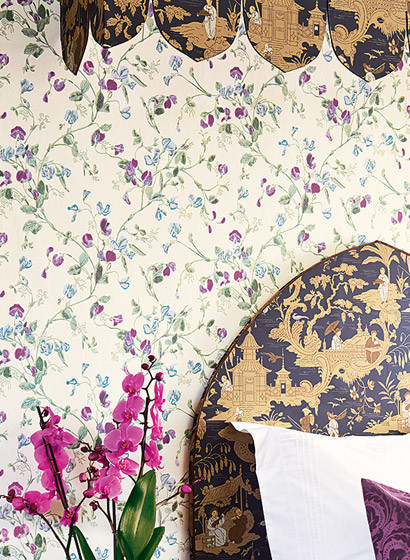 Tapete Sweet Pea von Cole & Son-1880 Tapete Sweet Pea von Cole & Son-1880