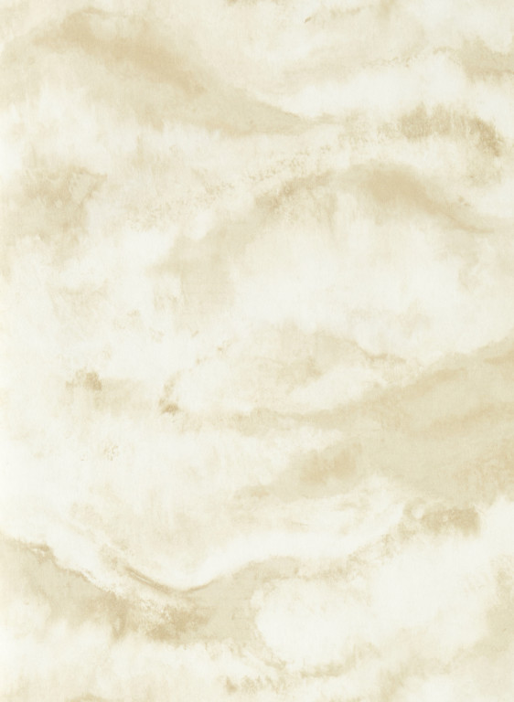 Clarke & Clarke Carta da parati Earthscape-19502