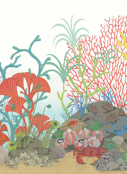 Tapetenbordüre Archipelago von Cole & Son-1987 Tapetenbordüre Archipelago von Cole & Son-1987