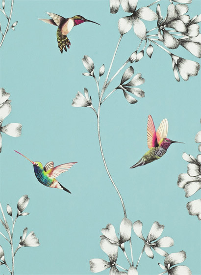 Kolibri Tapete Amazilia von Harlequin - Sky-1994.3
