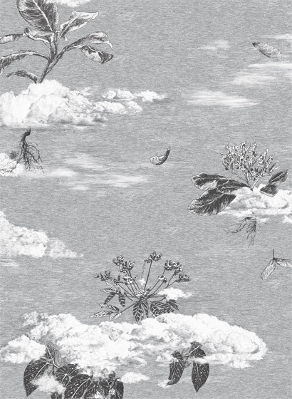 Sian Zeng Tapete Autumn Cloud Forest-2026.1 Sian Zeng Tapete Autumn Cloud Forest-2026.1