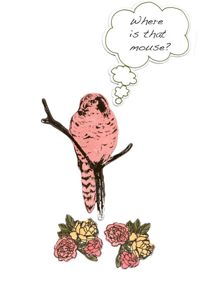 Magnet Owl von Sian Zeng-2033 Magnet Owl von Sian Zeng-2033