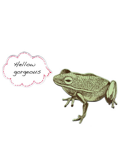 Magnet Frog von Sian Zeng-2034 Magnet Frog von Sian Zeng-2034
