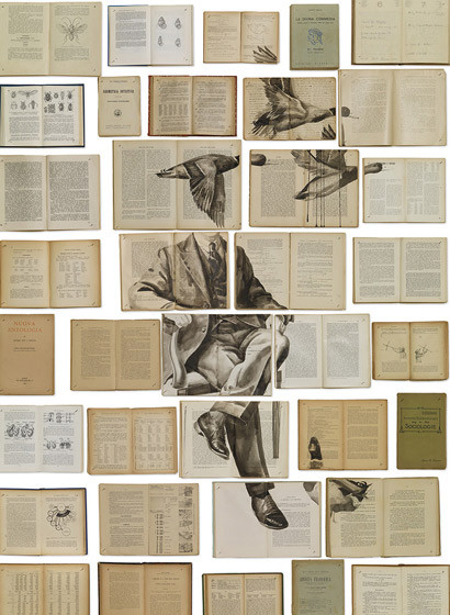 NLXL Papier peint EKA-01 Bibliotheca-2118 NLXL Papier peint EKA-01 Bibliotheca-2118