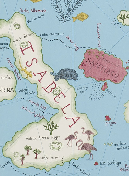 Tapete Galapagos von Sanderson - Azure-2126.3 Tapete Galapagos von Sanderson - Azure-2126.3