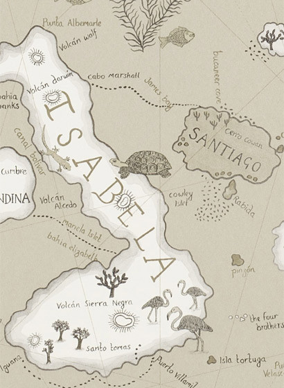 Tapete Galapagos von Sanderson - Pewter-2126.5 Tapete Galapagos von Sanderson - Pewter-2126.5