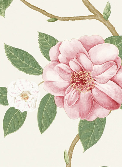 Sanderson Carta da parati Christabel-2128