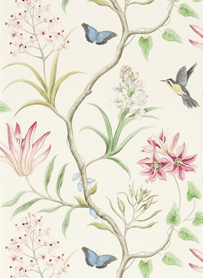Exotische Tapete Clementine von Sanderson - Chintz-2130.1 Exotische Tapete Clementine von Sanderson - Chintz-2130.1