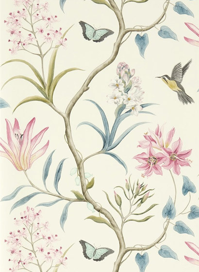 Exotische Tapete Clementine von Sanderson - Dusky Pink-2130.3 Exotische Tapete Clementine von Sanderson - Dusky Pink-2130.3