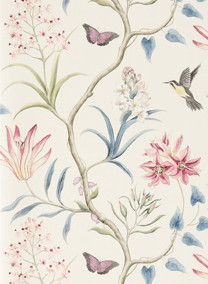 Exotische Tapete Clementine von Sanderson - Indienne-2130.4 Exotische Tapete Clementine von Sanderson - Indienne-2130.4