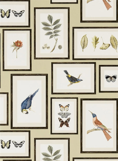 Tapete Picture Gallery von Sanderson - Sand/ Multi-2132.1 Tapete Picture Gallery von Sanderson - Sand/ Multi-2132.1