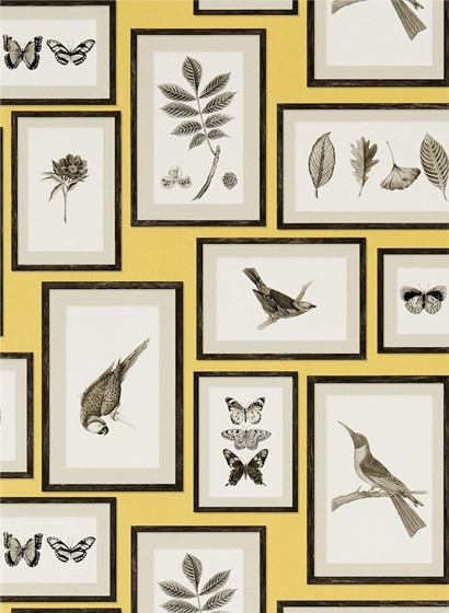 Sanderson Wallpaper Picture Gallery Yellow/ Charcoal-2132.5 Sanderson Wallpaper Picture Gallery Yellow/ Charcoal-2132.5