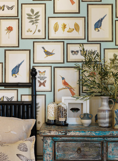Sanderson Wallpaper Picture Gallery-2132 Sanderson Wallpaper Picture Gallery-2132