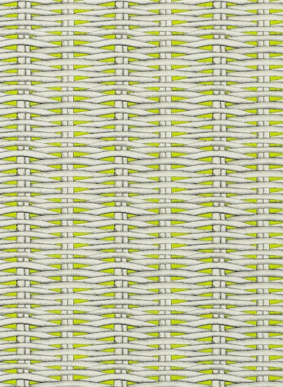 Tapete Barbade von Christian Lacroix - Lime-2228.6 Tapete Barbade von Christian Lacroix - Lime-2228.6
