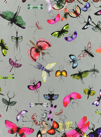 Christian Lacroix Wallpaper Mariposa-2231 Christian Lacroix Wallpaper Mariposa-2231