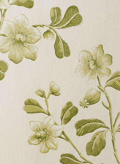 Little Greene Papier peint Broadwick Street-2233 Little Greene Papier peint Broadwick Street-2233
