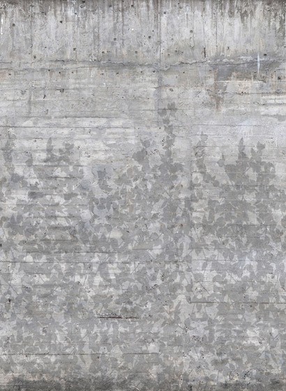 Rebel Walls Carta da parati panoramica Climbing Clorofyl - Shadow-2407.2