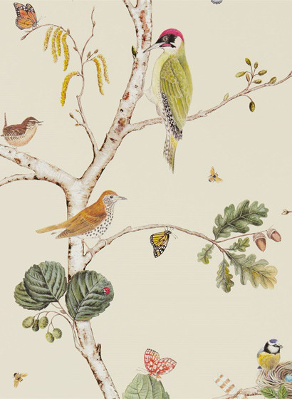 Tapete Woodland Chorus von Sanderson - Cream/ Multi-2466.1 Tapete Woodland Chorus von Sanderson - Cream/ Multi-2466.1